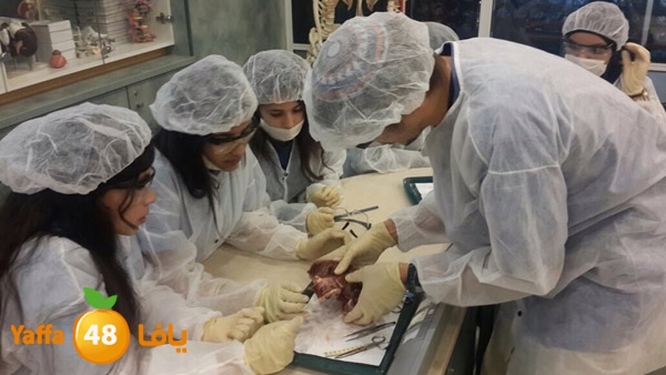 shamela teb khederas (6).jpg